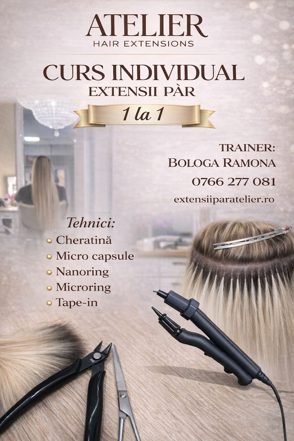 Curs de perfectionare individual 1-1