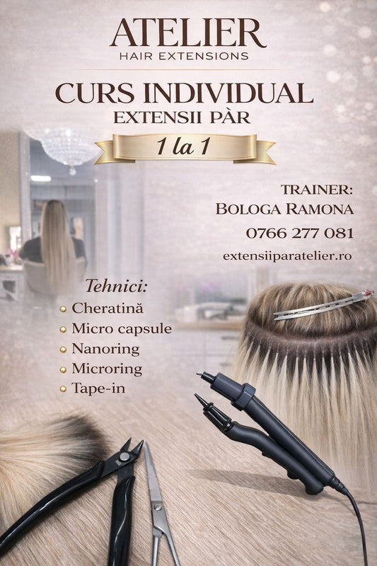 Curs de perfectionare individual 1-1